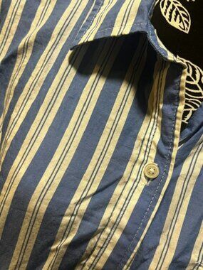 Striped men's button down